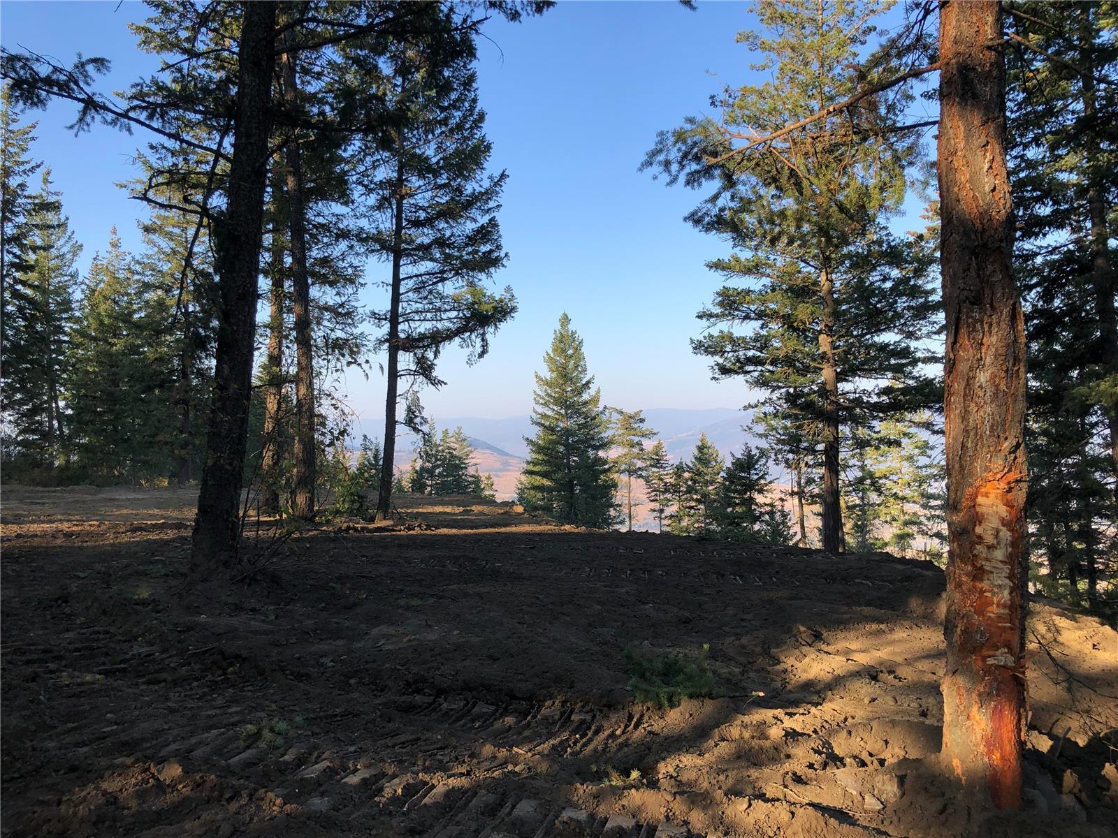 Listing 10264677 - Large Photo # 8