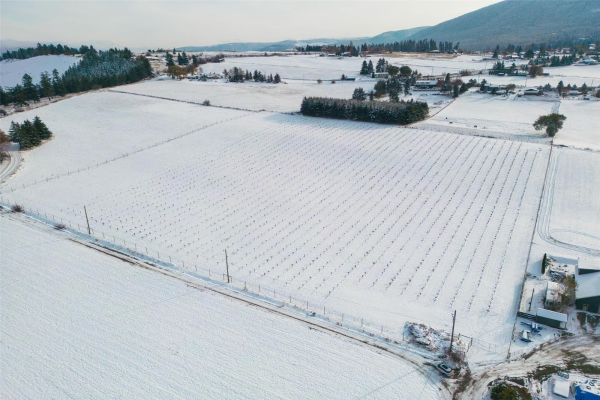 9790 Springfield Road,, Vernon