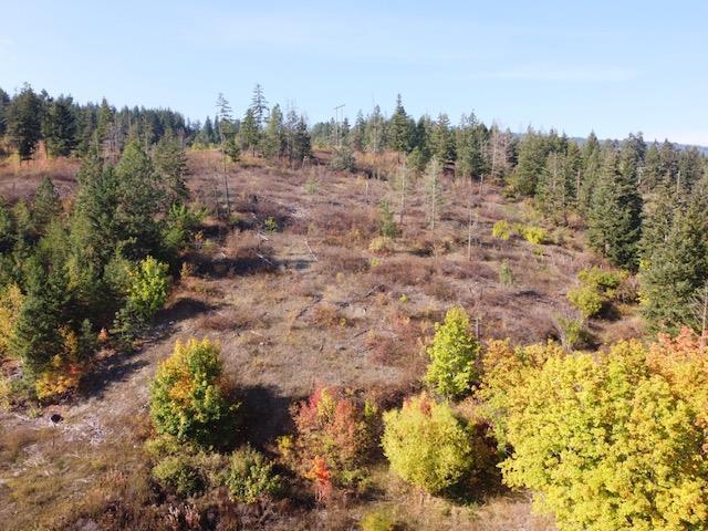 Listing 10265189 - Large Photo # 9
