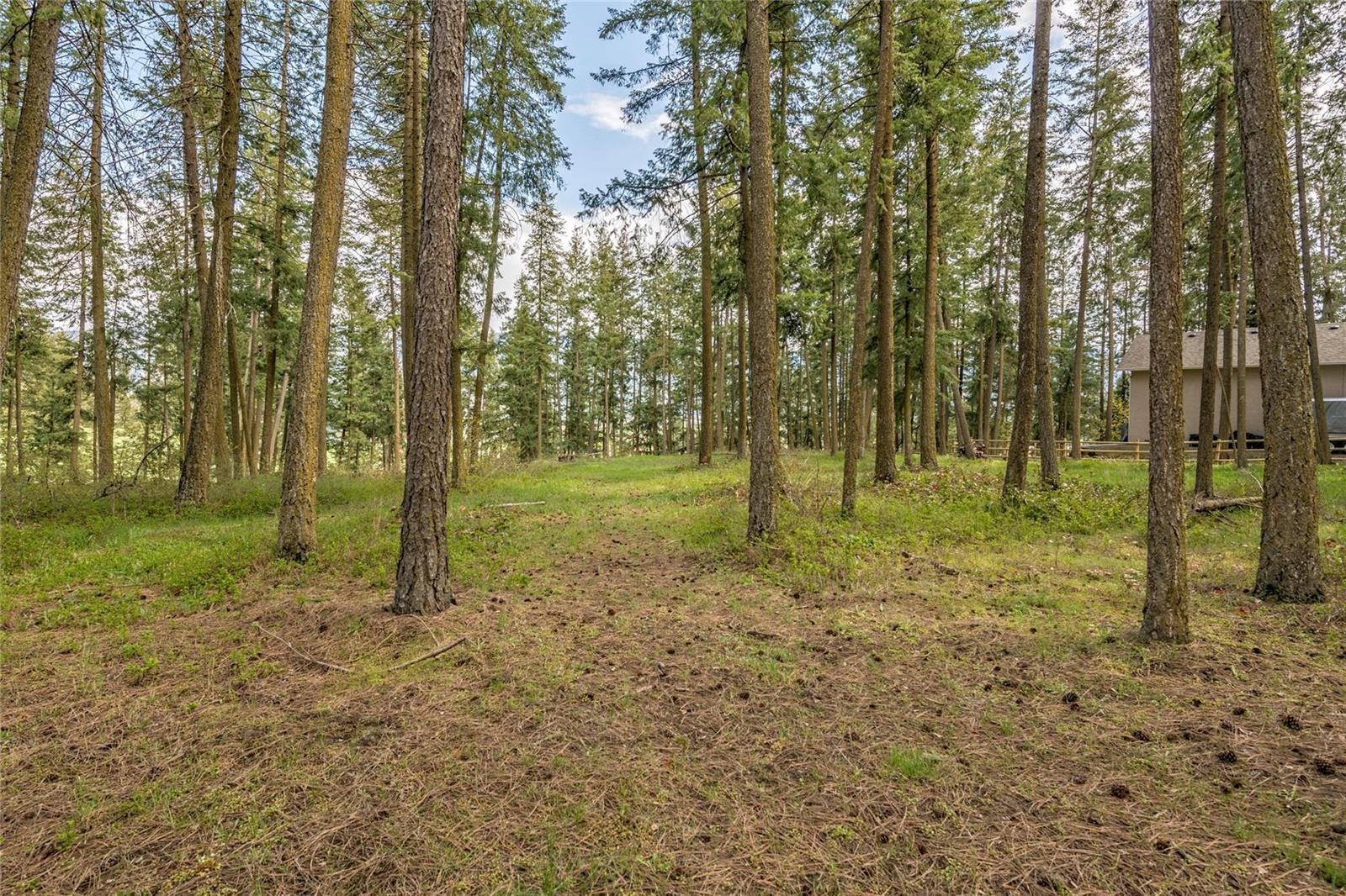 Listing 10265215 - Large Photo # 23