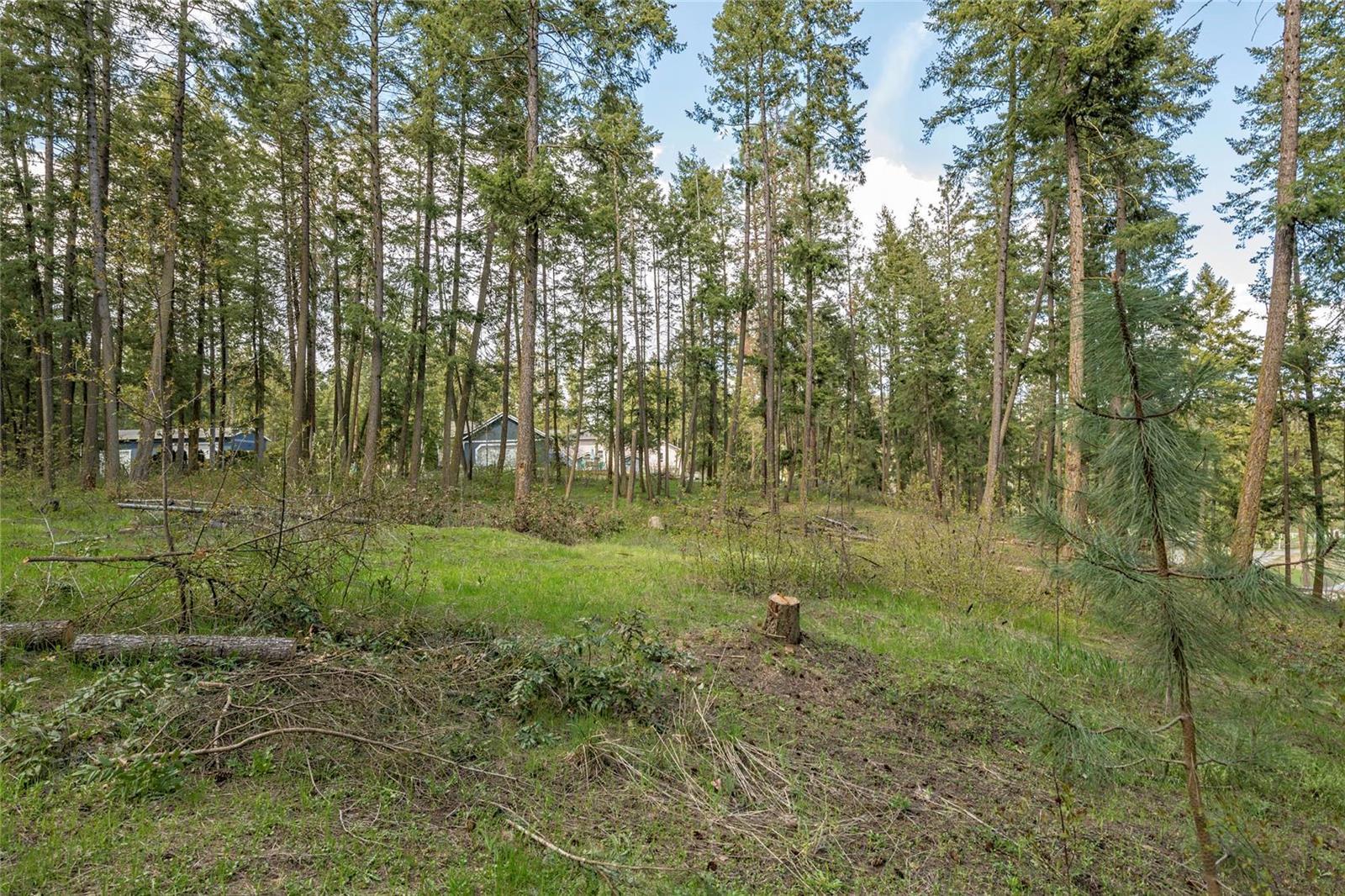 Listing 10265215 - Large Photo # 13
