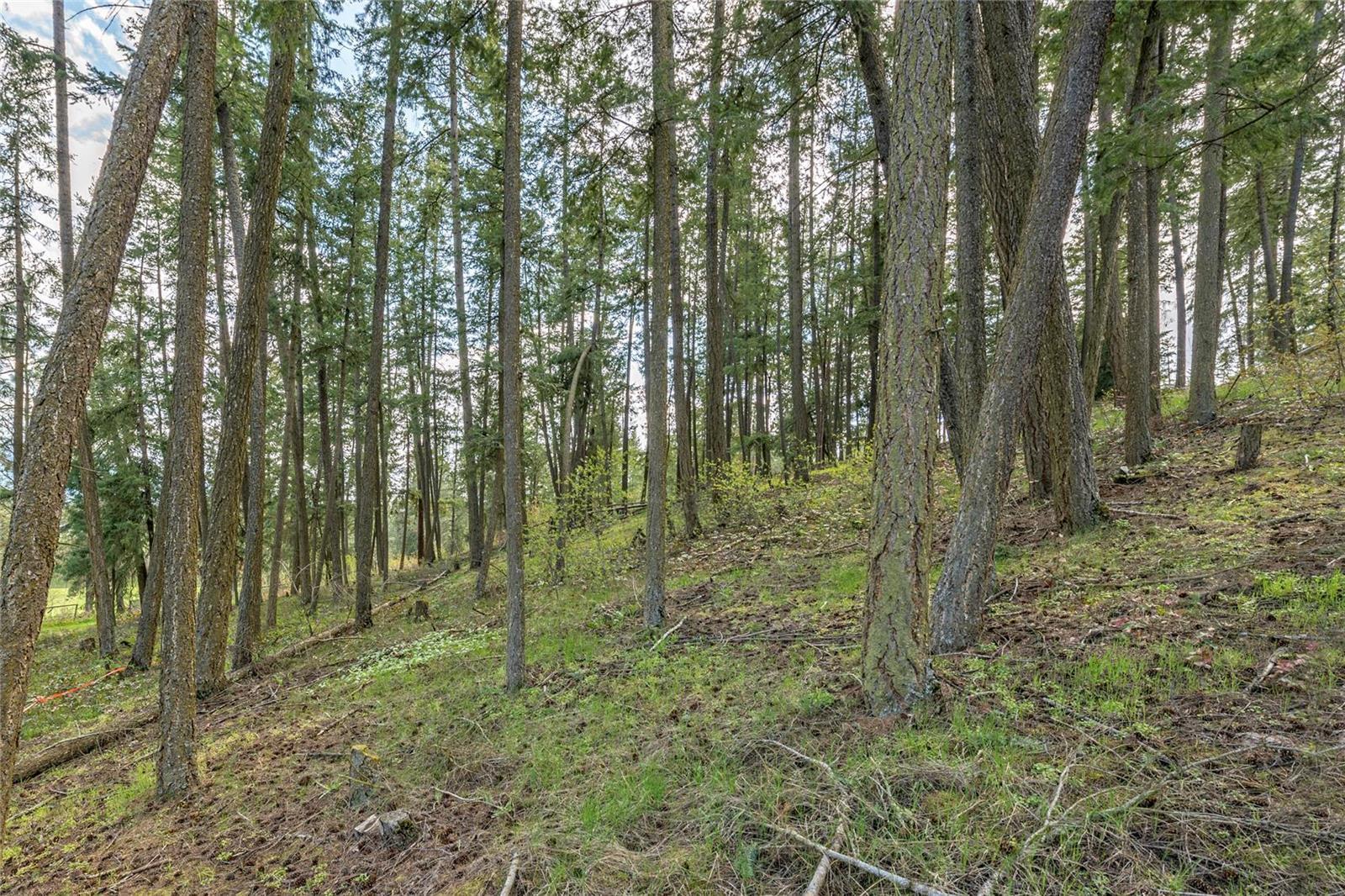 Listing 10265215 - Large Photo # 17