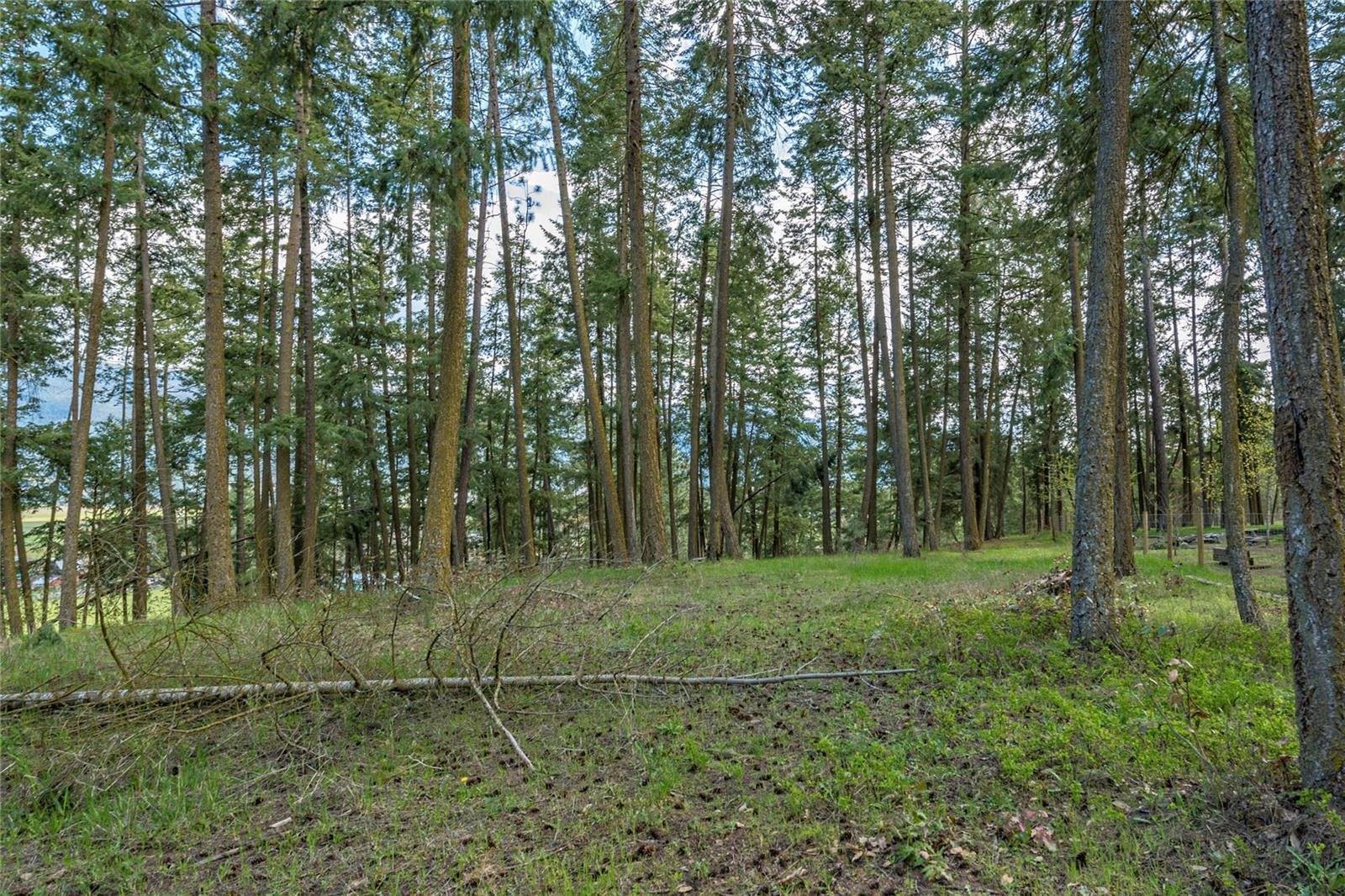 Listing 10265215 - Large Photo # 11