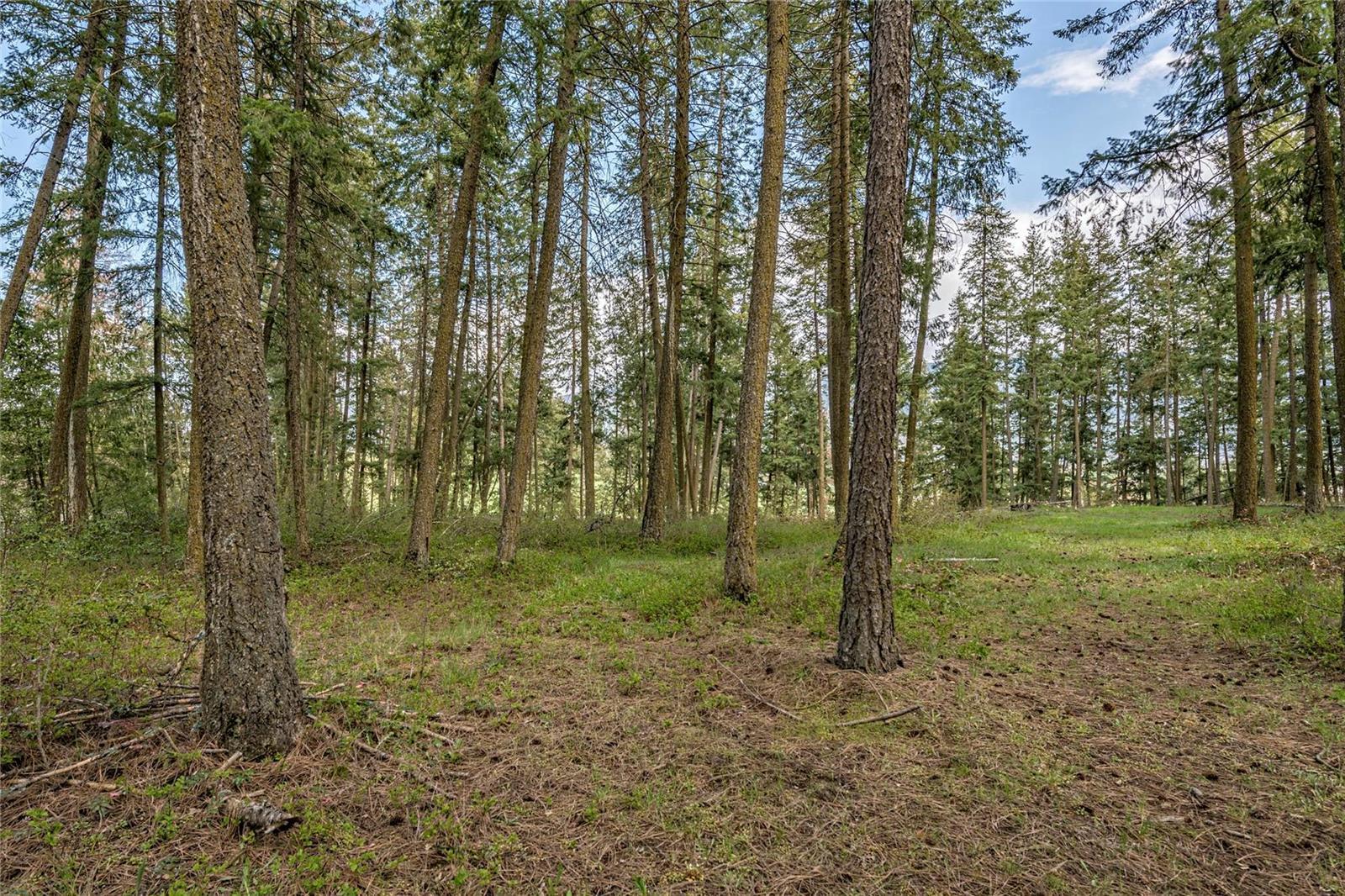Listing 10265215 - Large Photo # 22