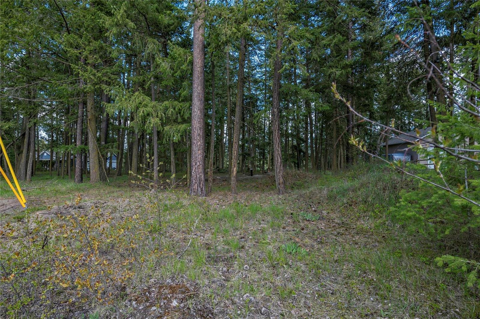Listing 10265215 - Large Photo # 6