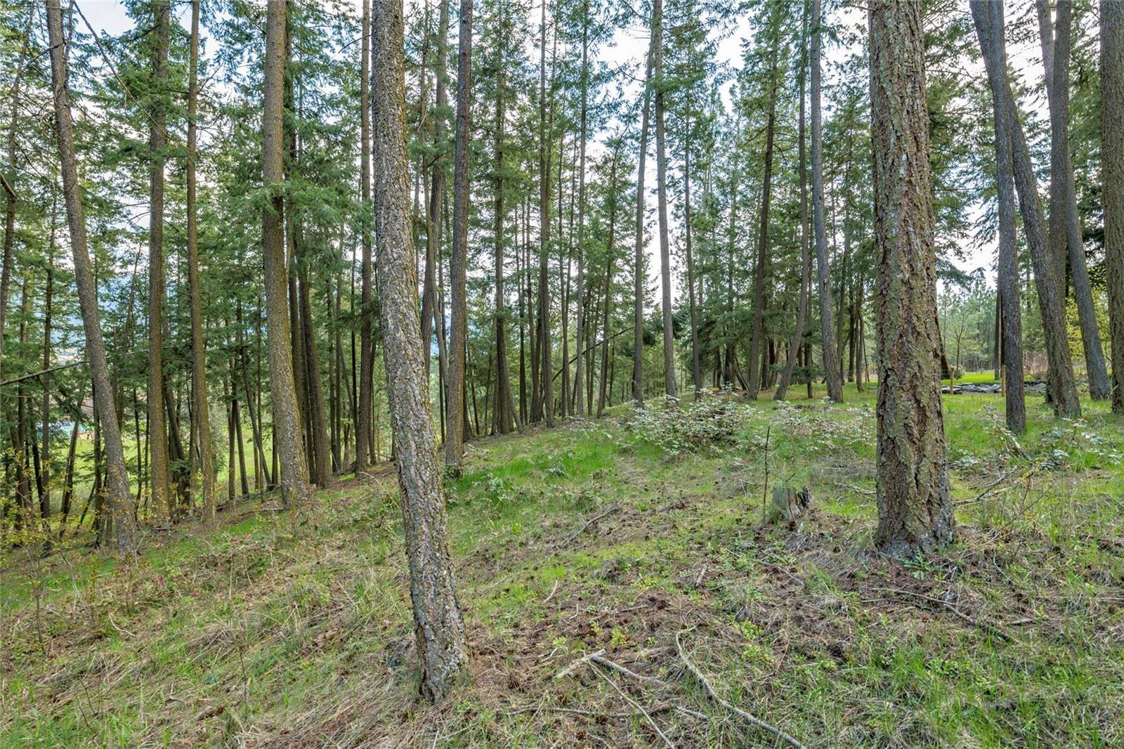 Listing 10265215 - Large Photo # 12