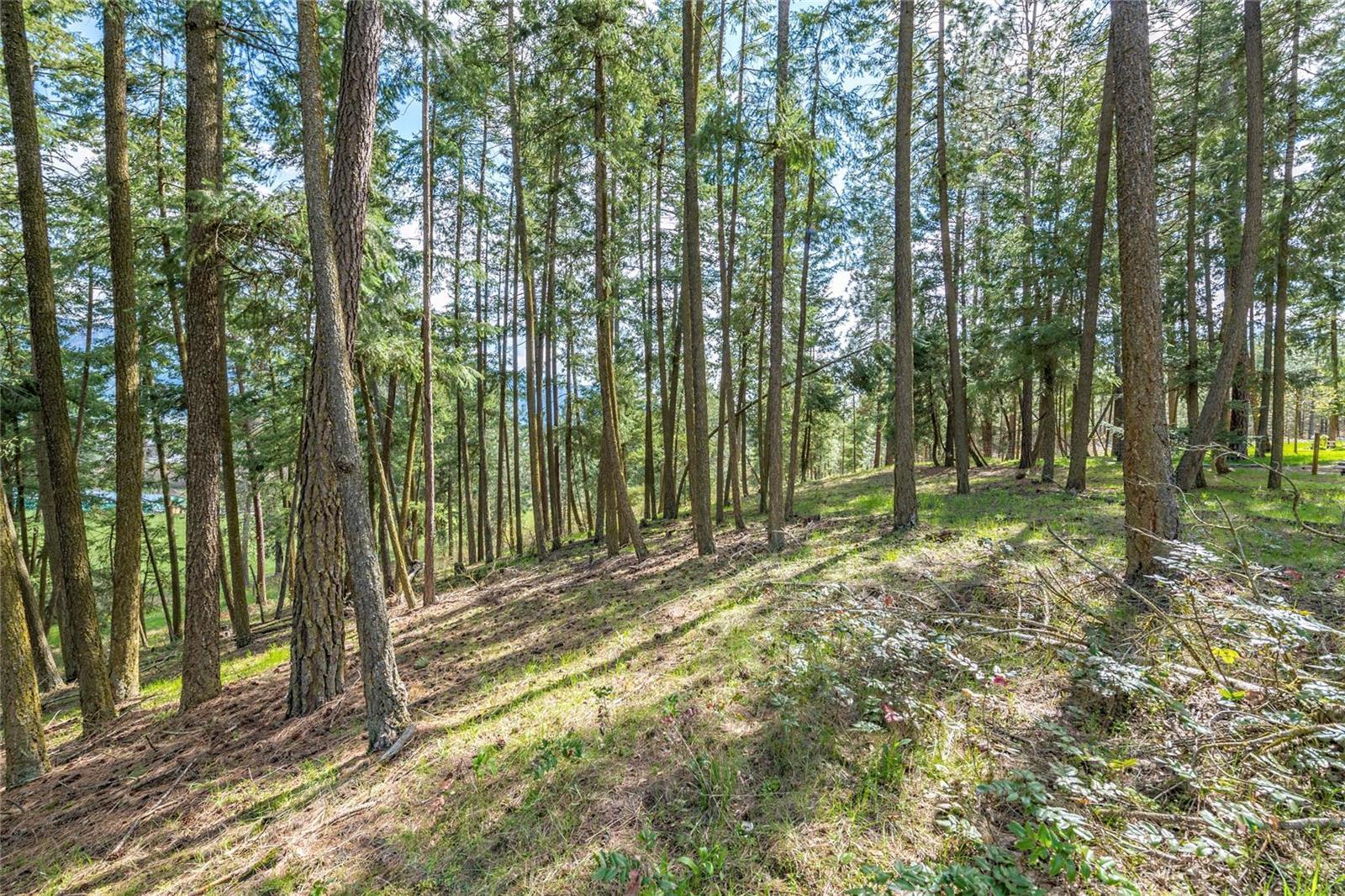 Listing 10265215 - Large Photo # 18