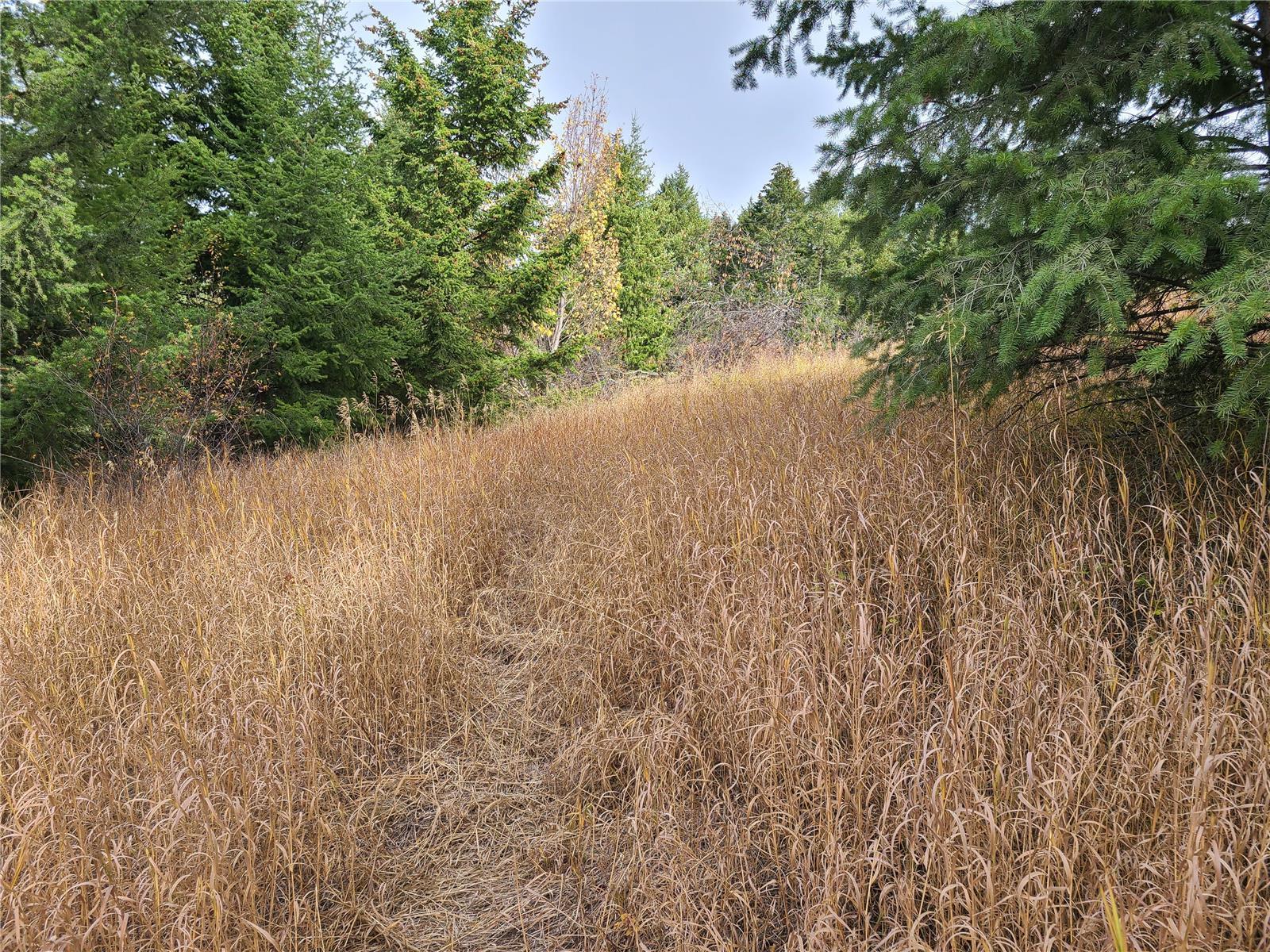 Listing 10265229 - Large Photo # 14
