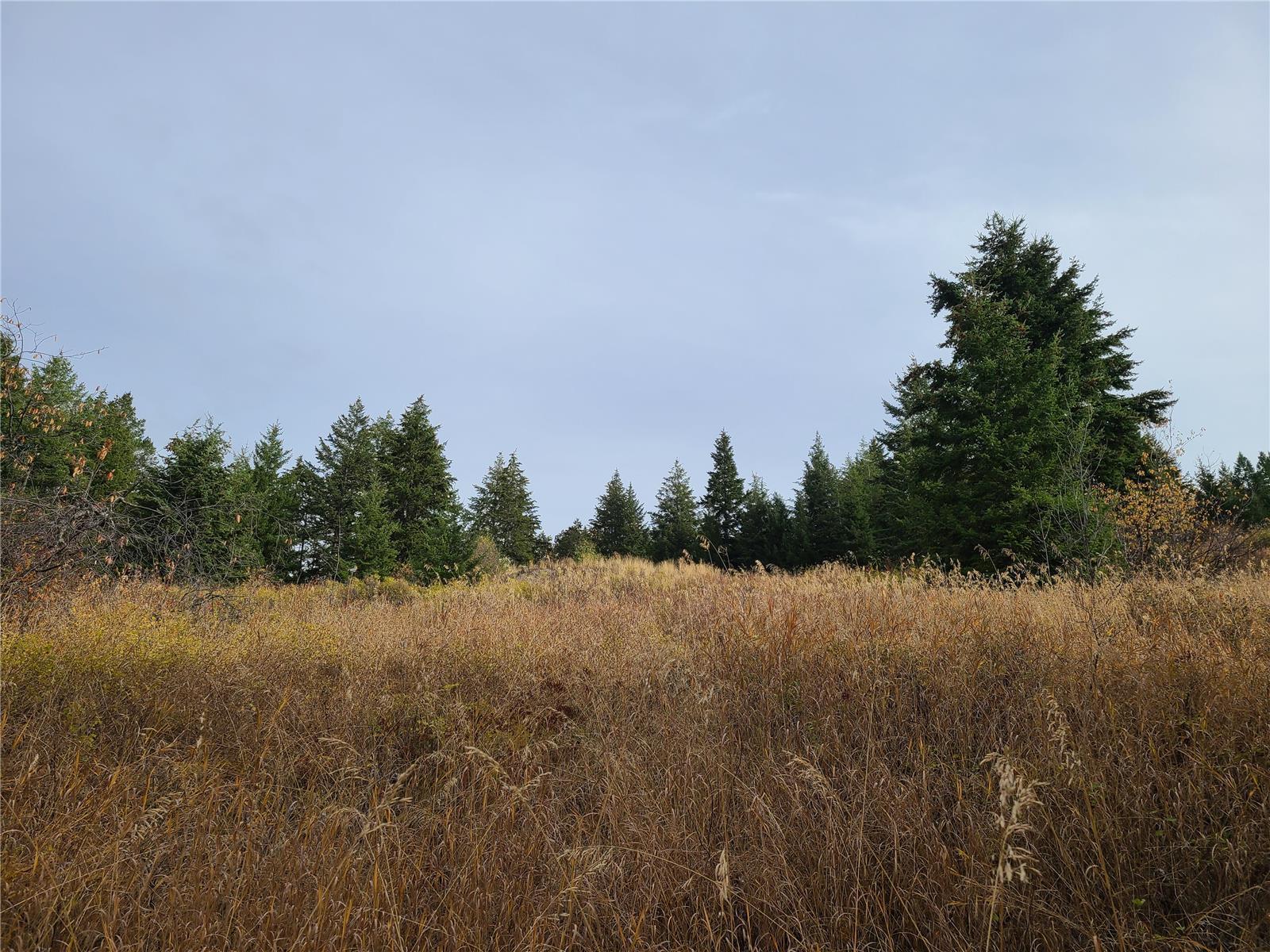 Listing 10265229 - Large Photo # 15
