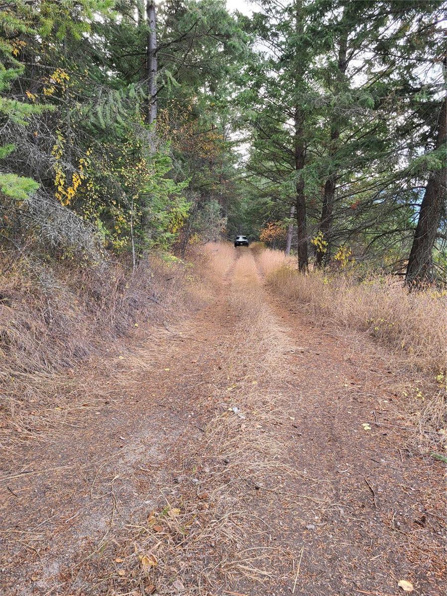 Listing 10265229 - Large Photo # 19