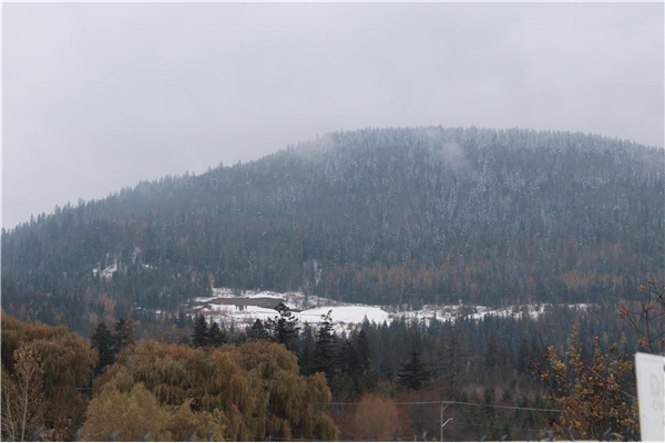 220 20 Avenue, SE, Salmon Arm