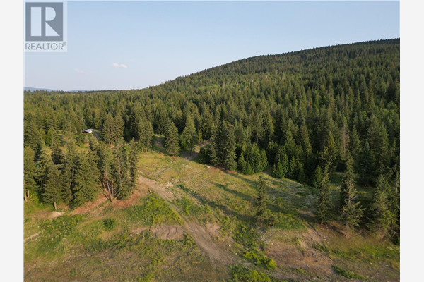 5115 Salmon River Road,, Armstrong