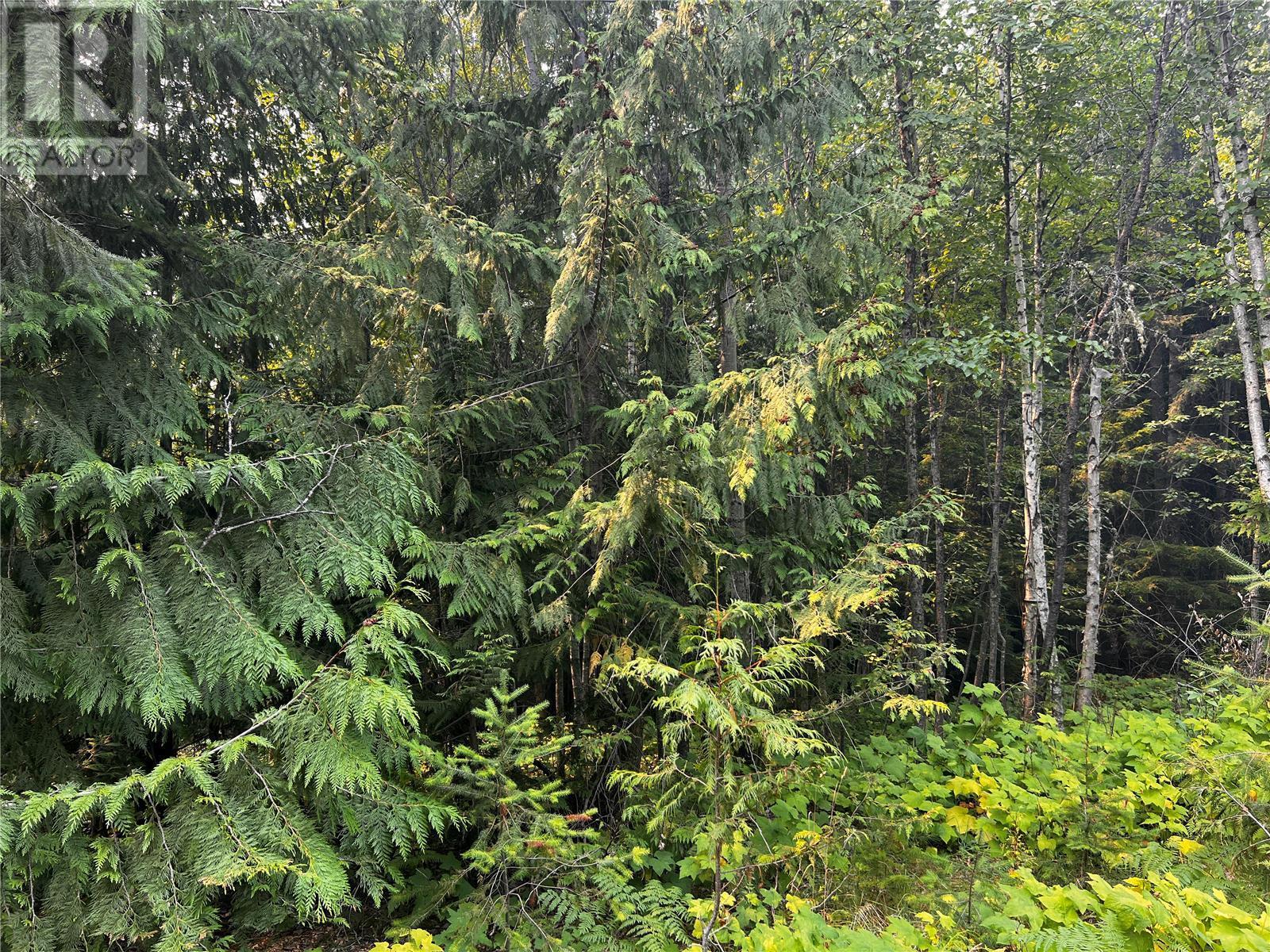 Listing 10266769 - Large Photo # 3