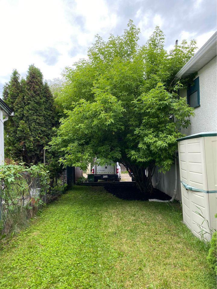 Listing 10267960 - Large Photo # 22