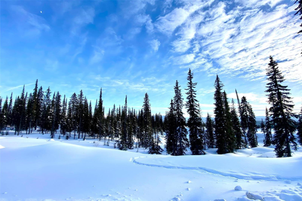 PL3 Black Forest Road,, Big White