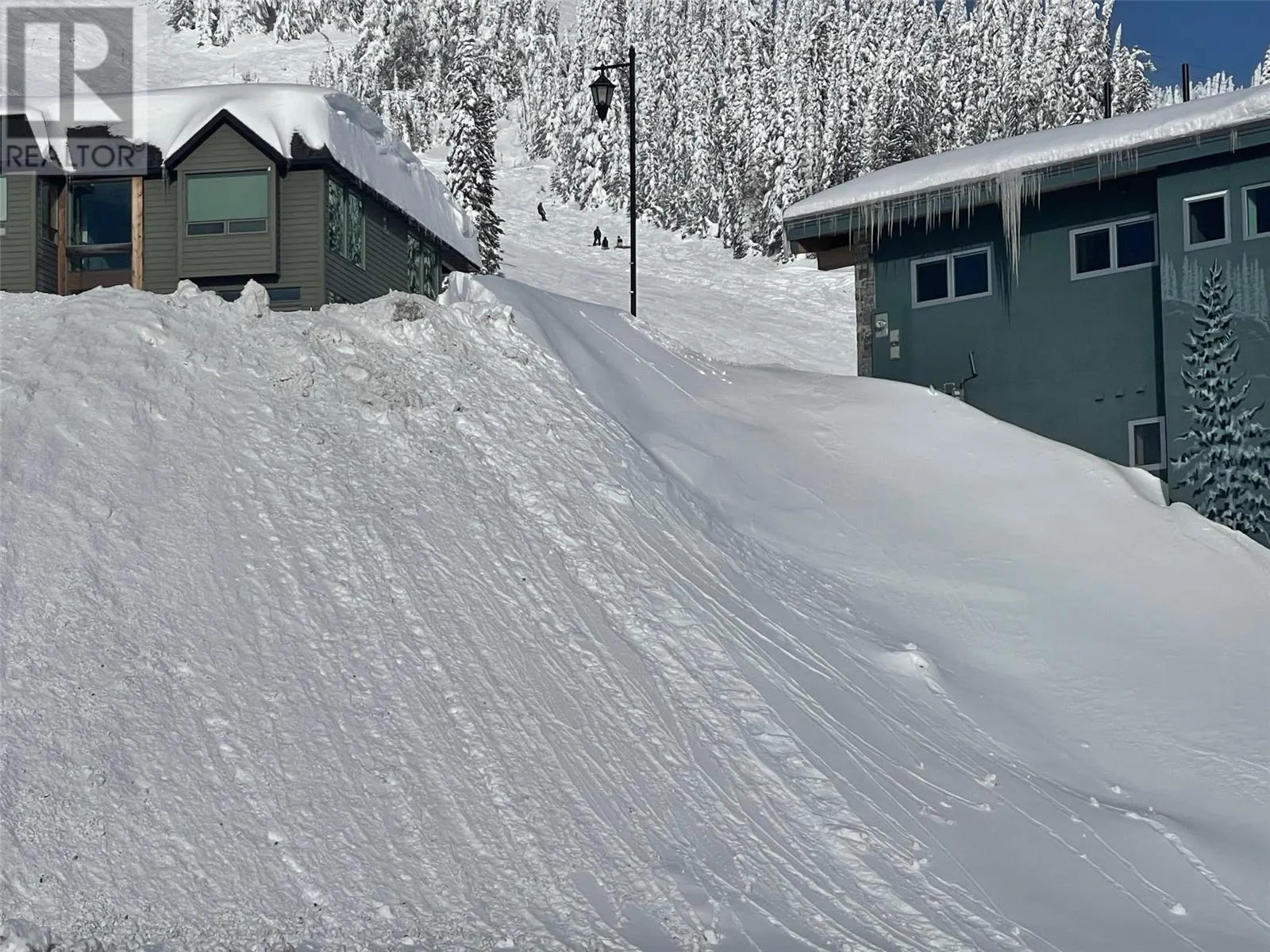 100 Arnica Lane