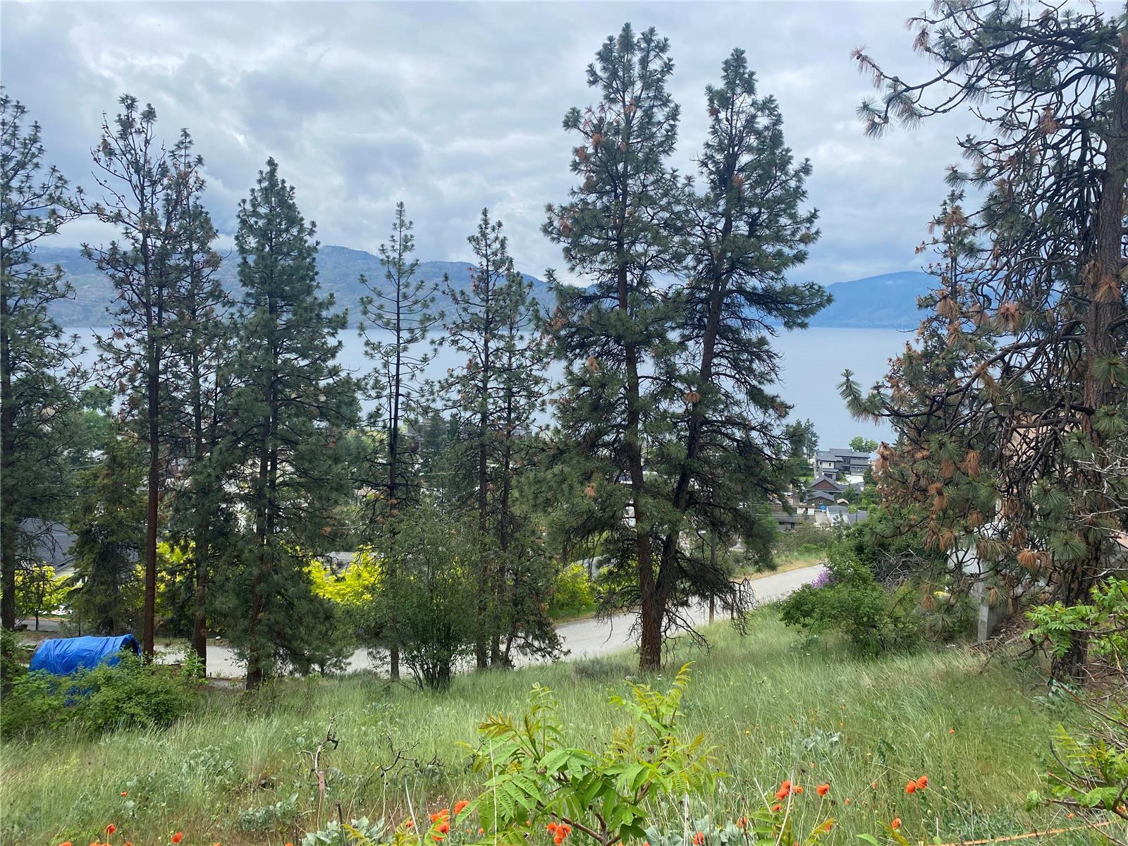 Listing 10268716 - Large Photo # 2