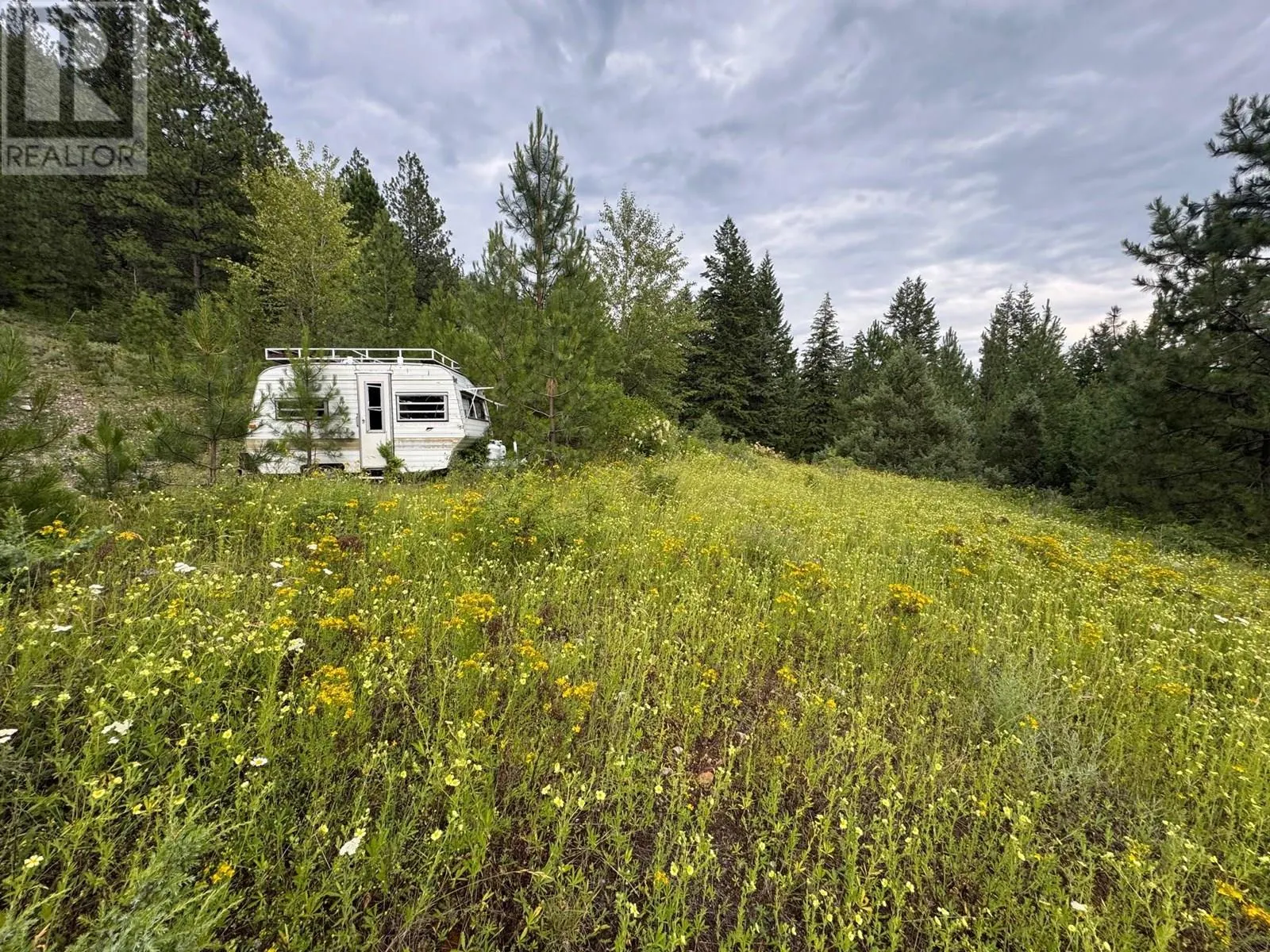 40 Acres Shuswap River Drive