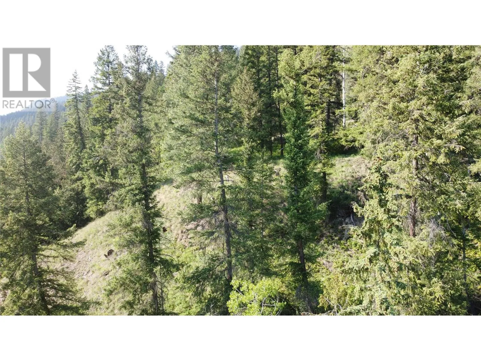 40 Acres Shuswap River Drive