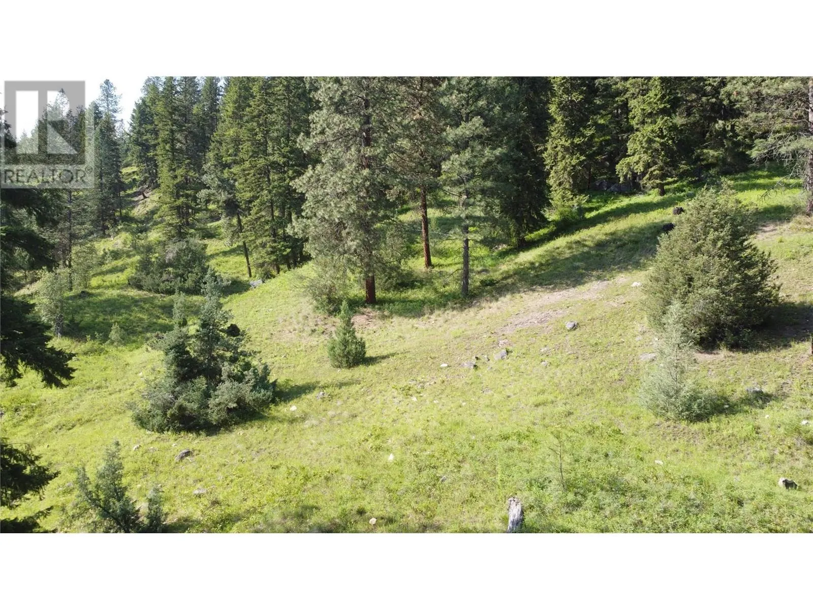 40 Acres Shuswap River Drive