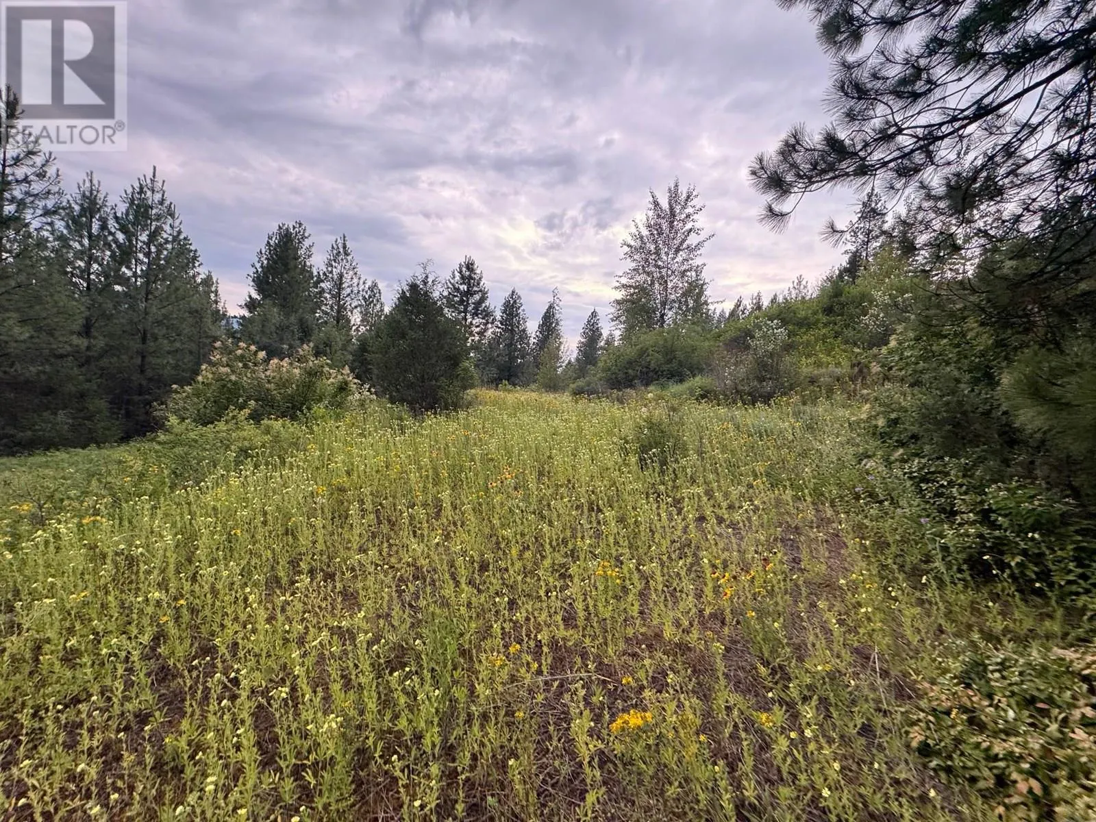 40 Acres Shuswap River Drive