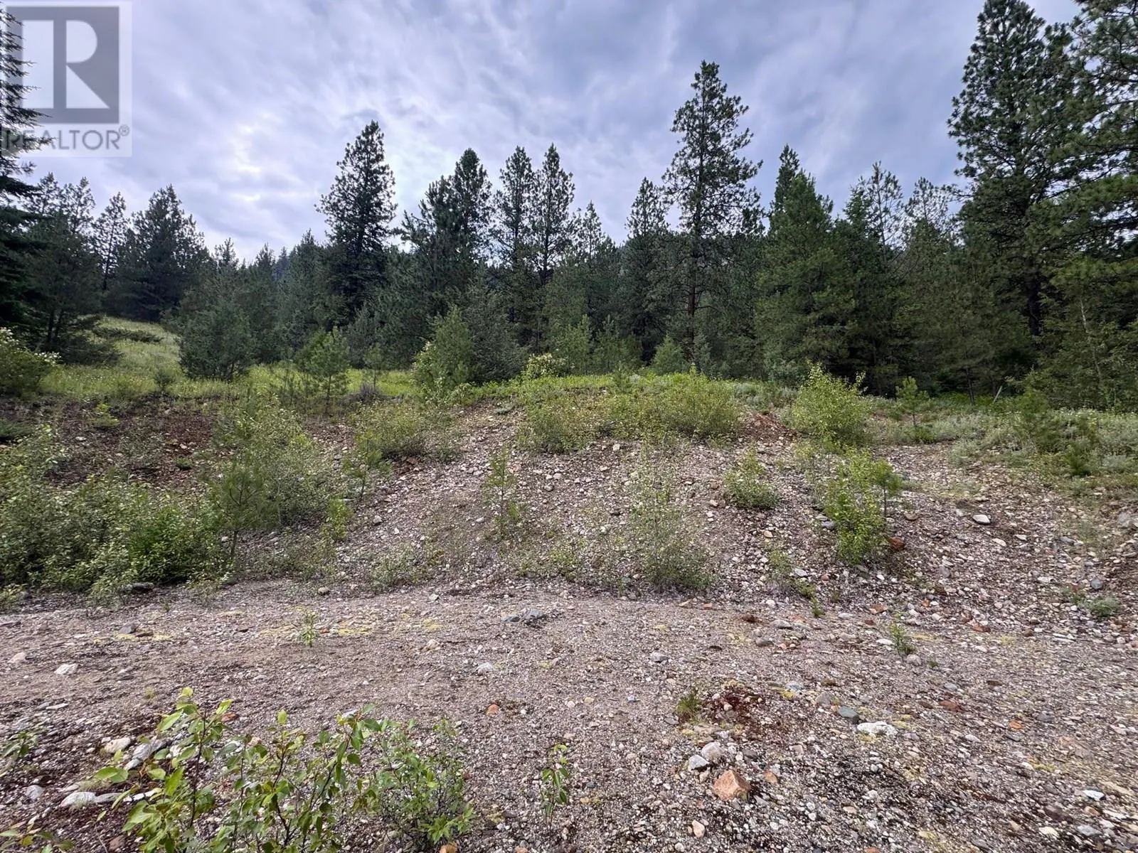 40 Acres Shuswap River Drive