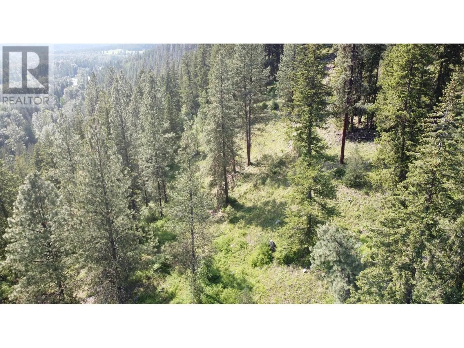 40 Acres Shuswap River Drive
