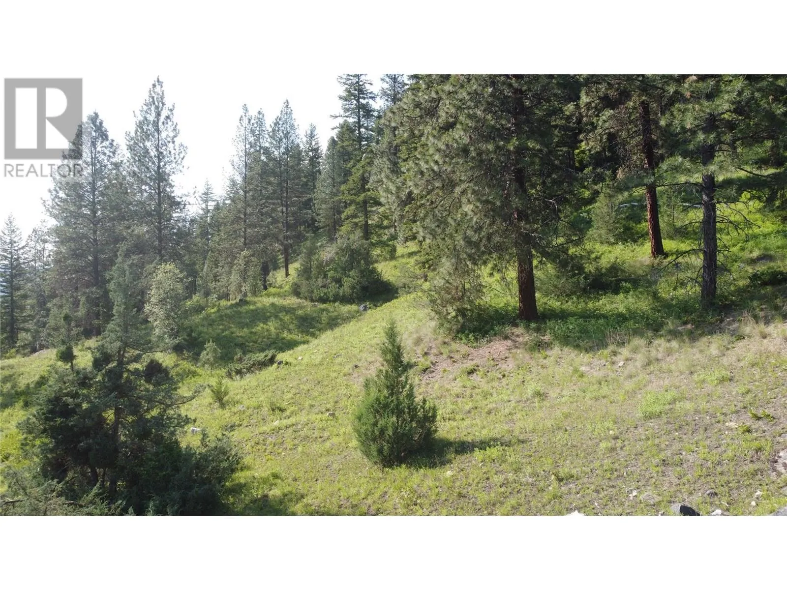40 Acres Shuswap River Drive