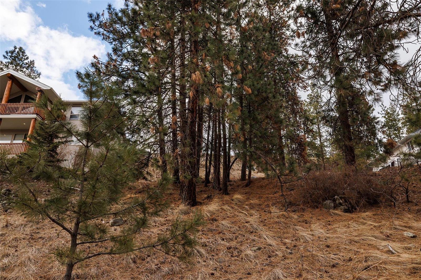 3993 Ponderosa Place,