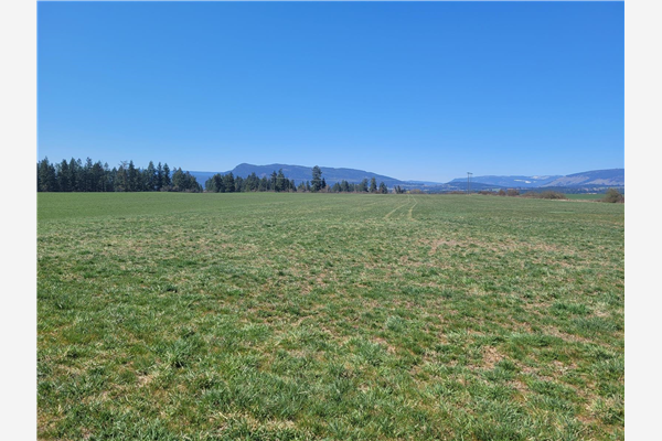 Lot 1 Marshall Road,, Spallumcheen