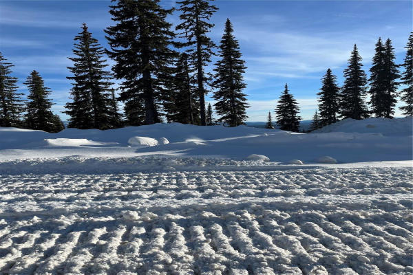 1 Black Forest Road,, Big White