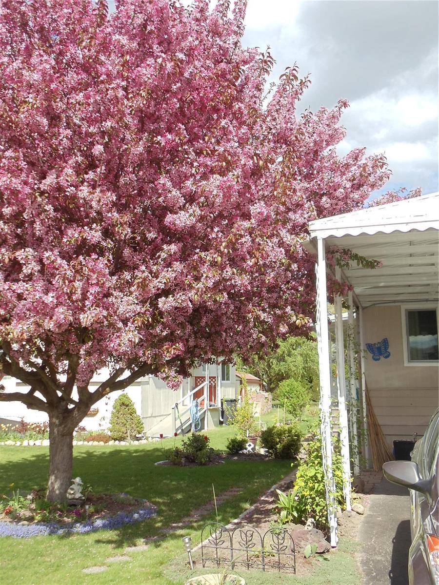 Listing 10269638 - Large Photo # 19