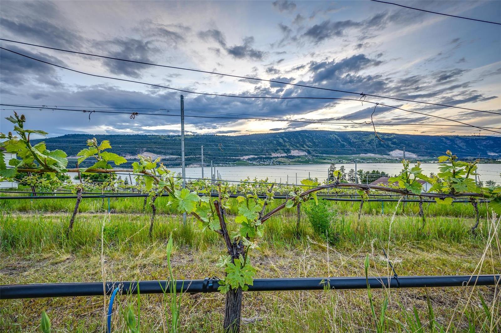 Listing 10269649 - Large Photo # 60