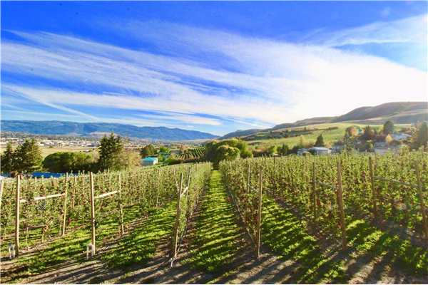 6240 Old Kamloops Road,, Vernon