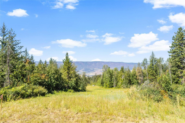 #1 8125 McLennan Road,, Vernon
