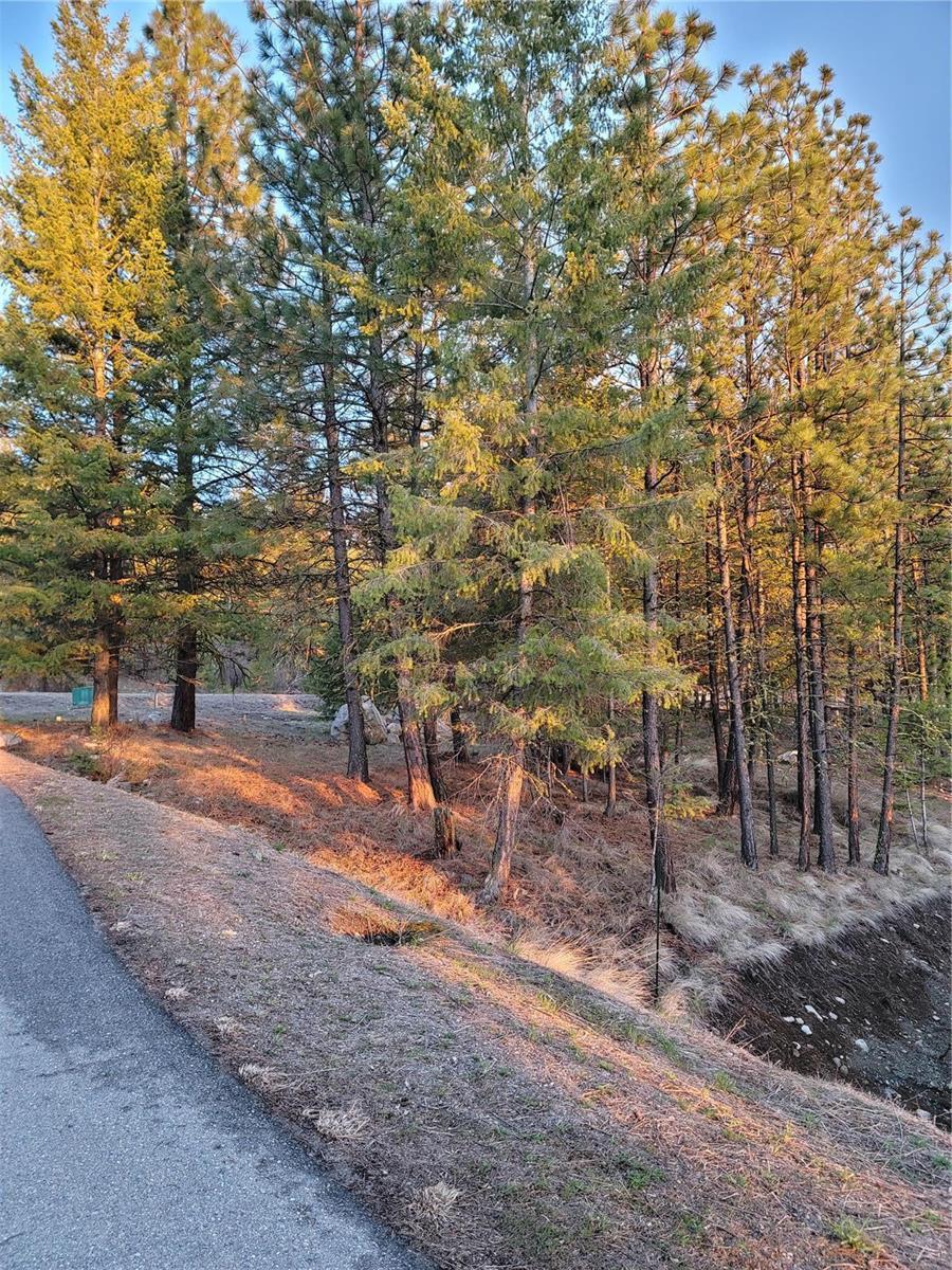 309 Mule Deer Drive