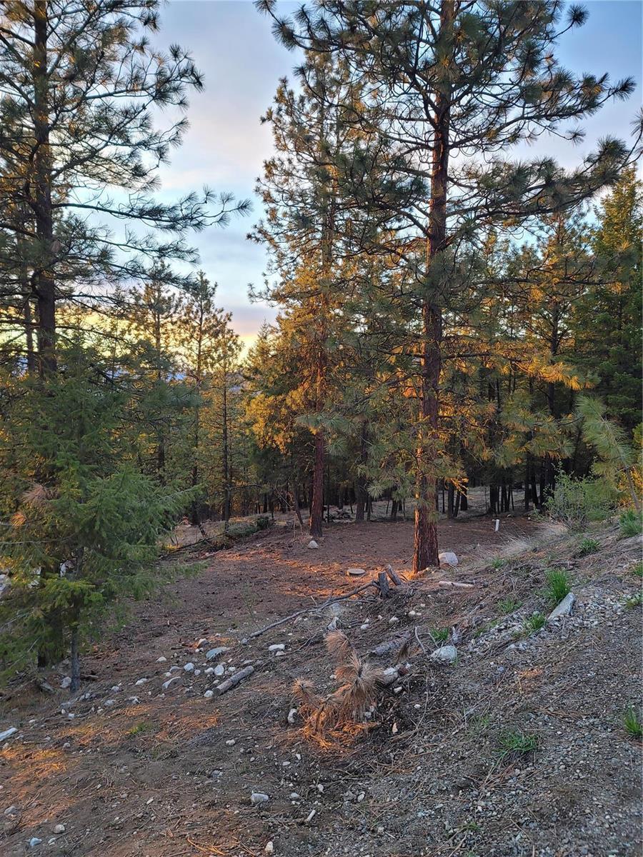 309 Mule Deer Drive