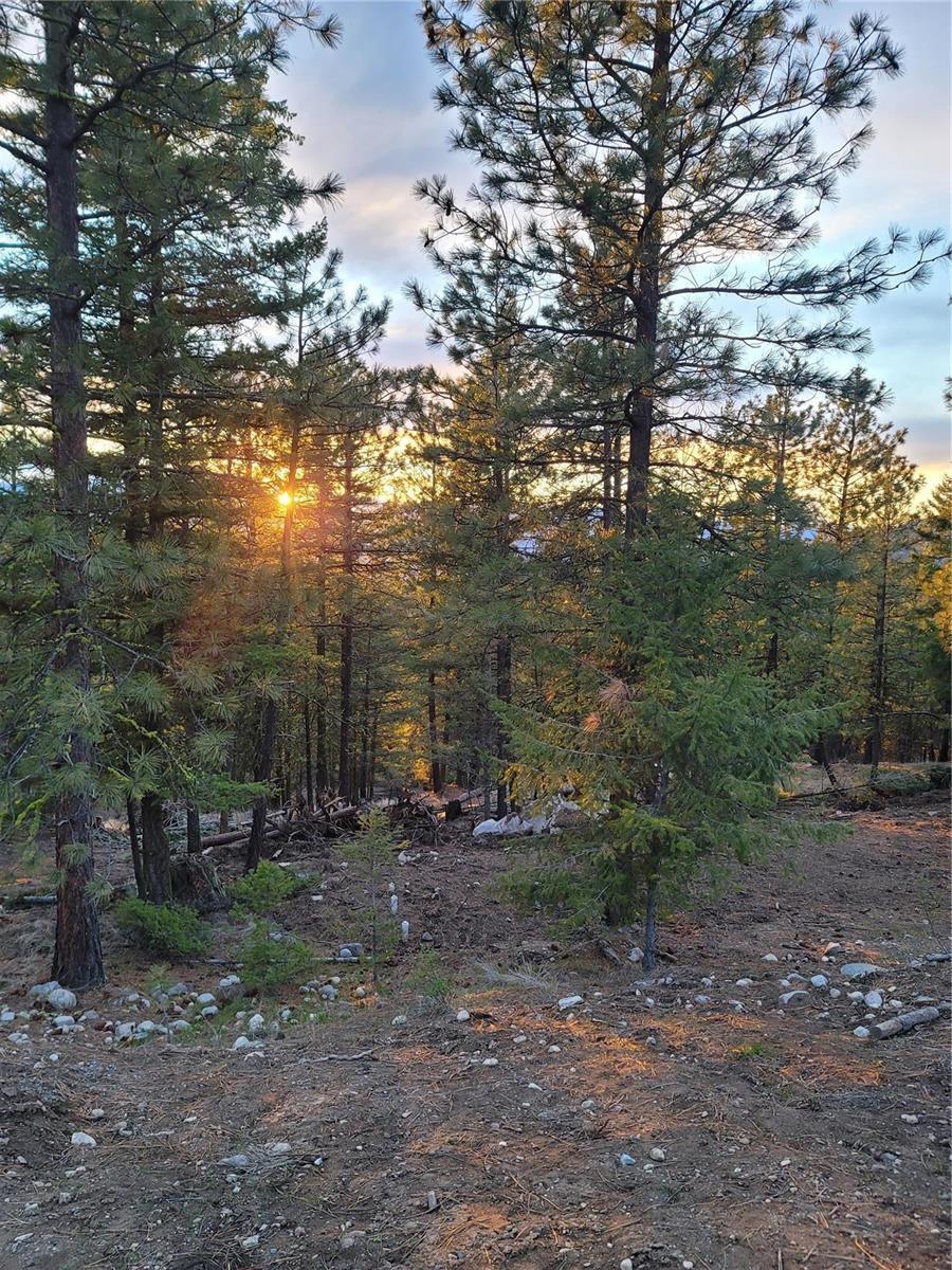 309 Mule Deer Drive