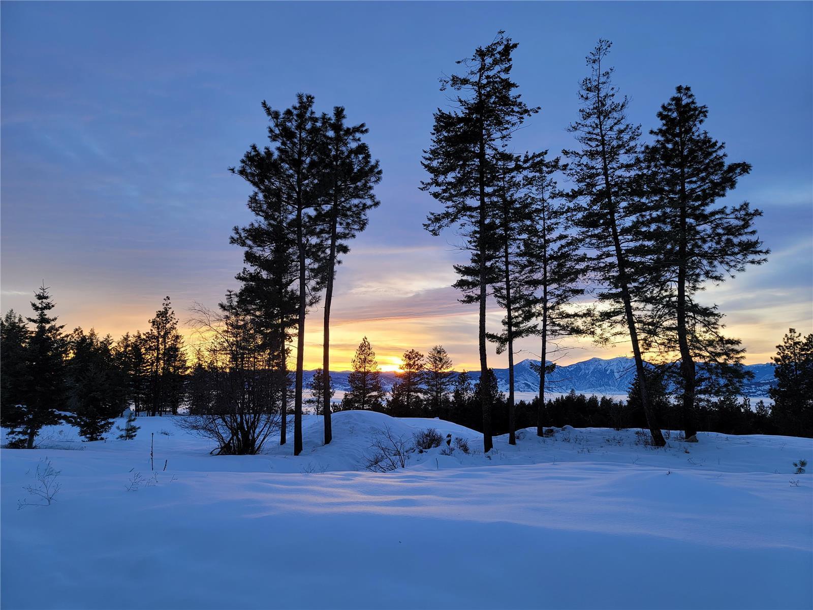 309 Mule Deer Drive