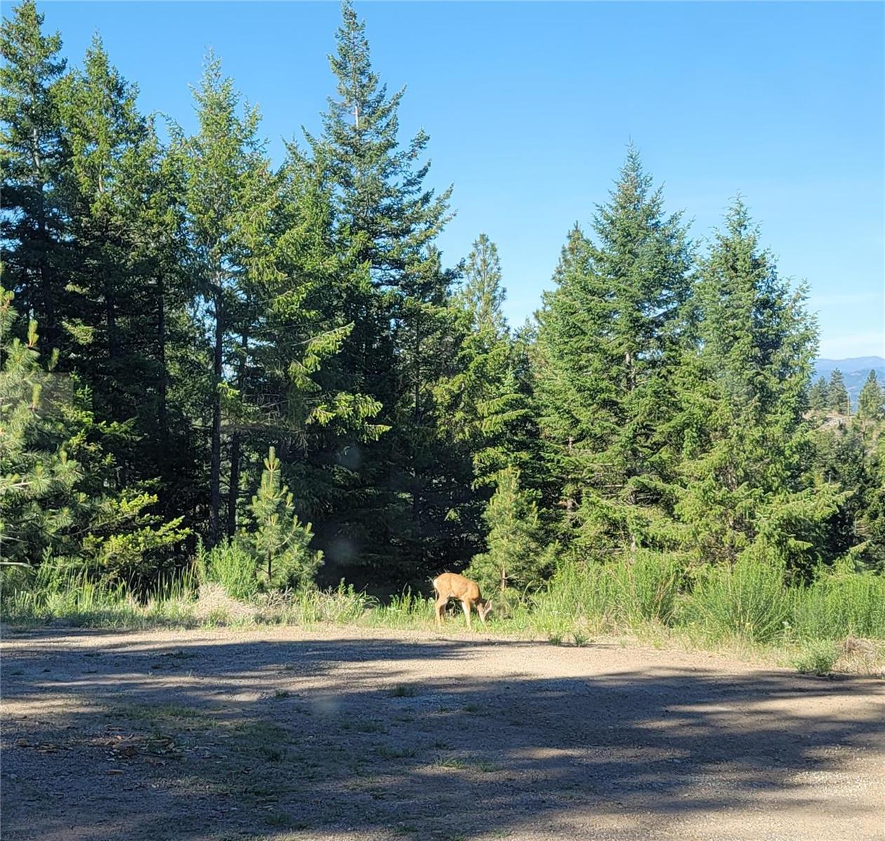 309 Mule Deer Drive