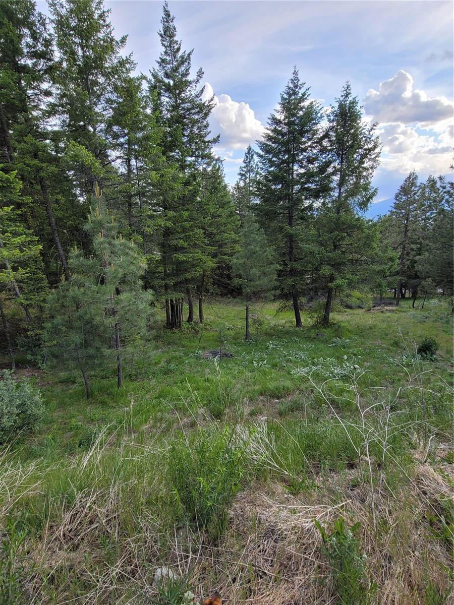 309 Mule Deer Drive