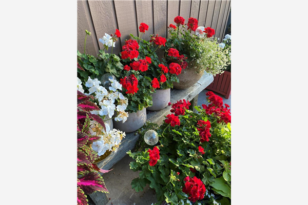 #101 539 SUTHERLAND Avenue,, Kelowna