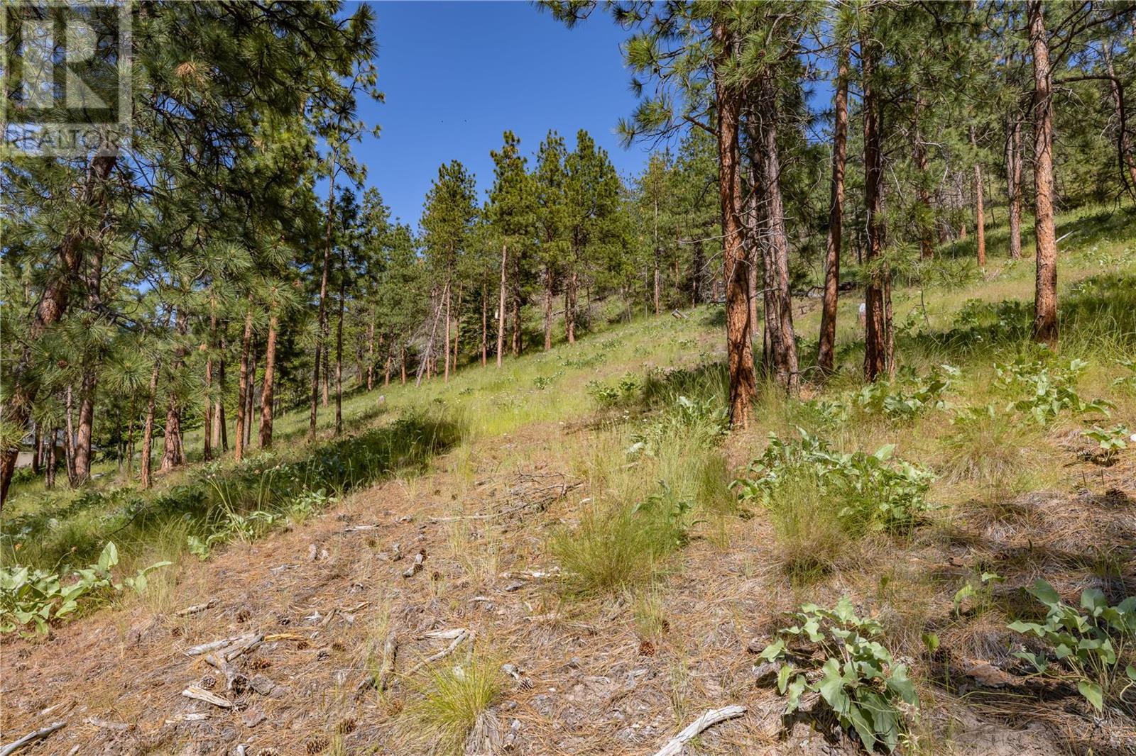 Listing 10270365 - Large Photo # 6
