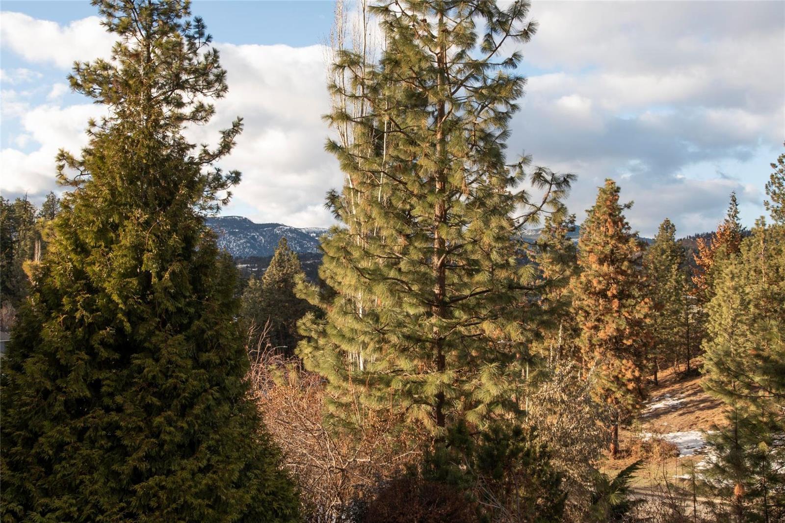 Listing 10270869 - Large Photo # 23