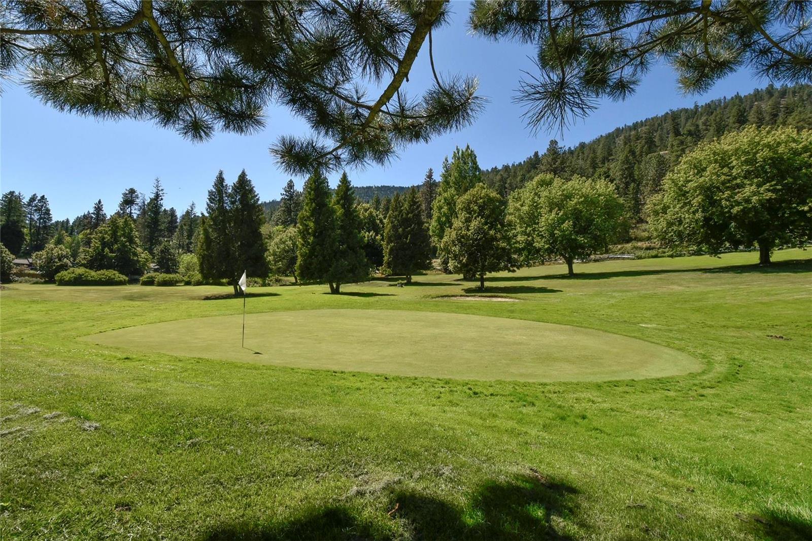 Listing 10270947 - Large Photo # 31