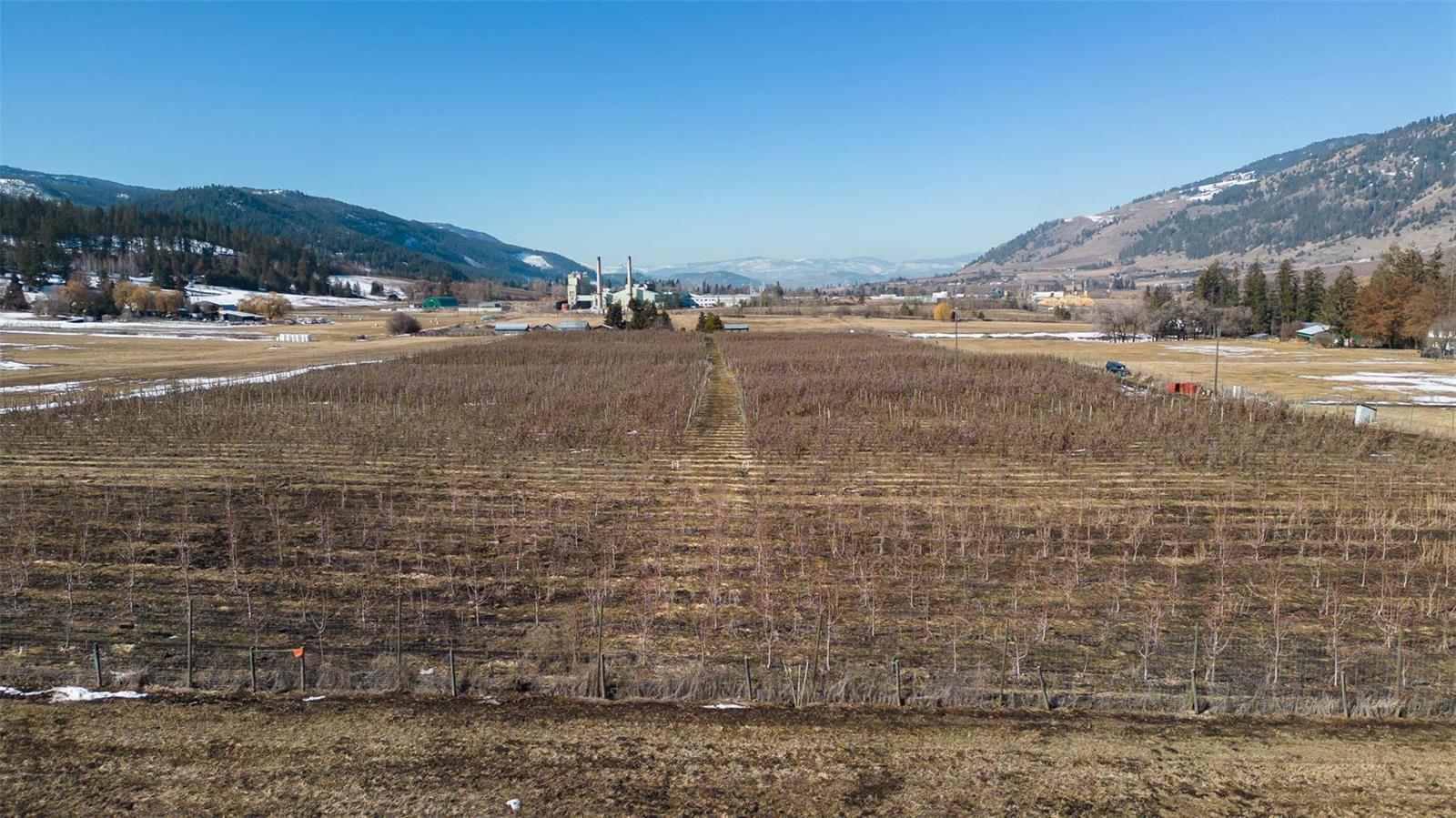 Listing 10271001 - Large Photo # 4