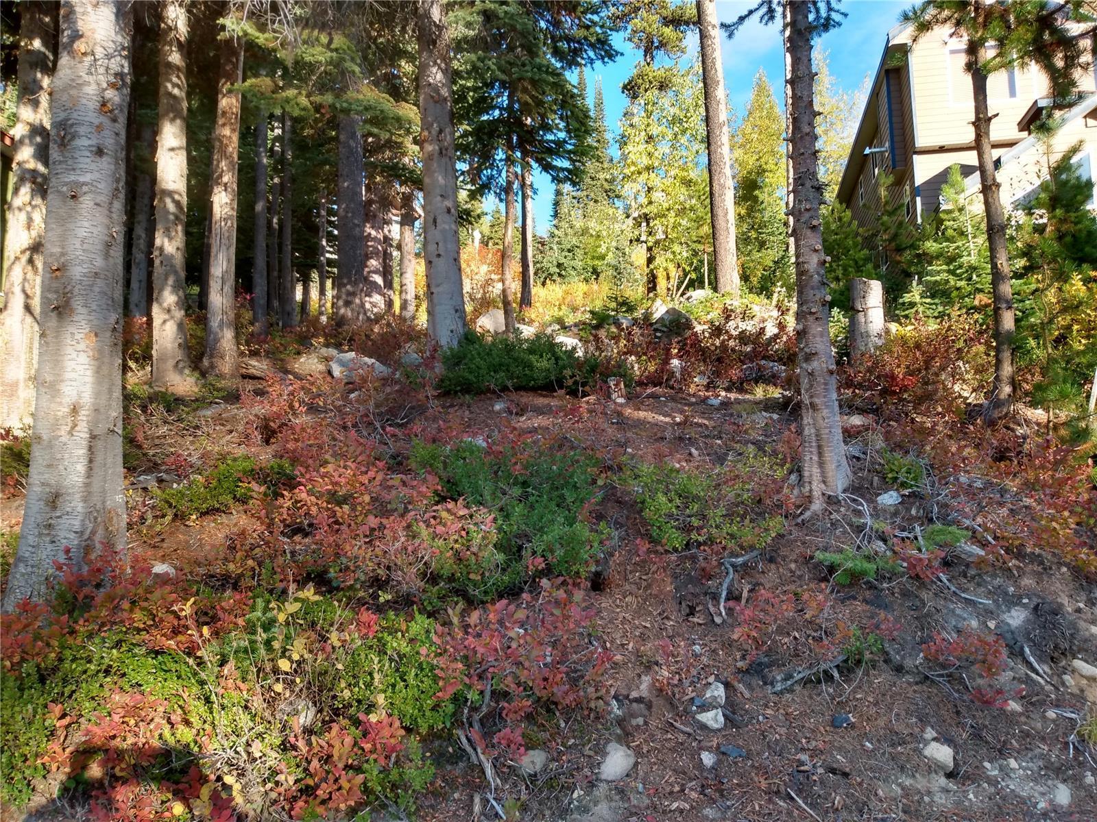 Listing 10271175 - Large Photo # 29