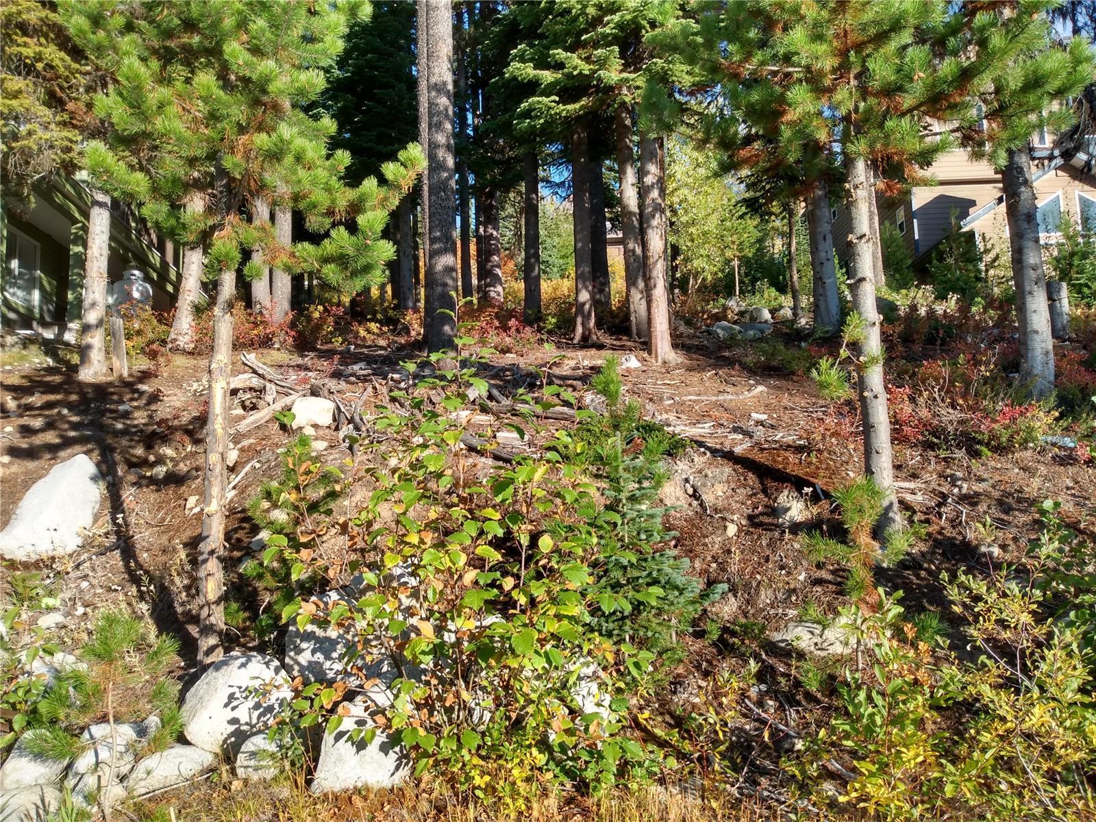 Listing 10271175 - Large Photo # 30