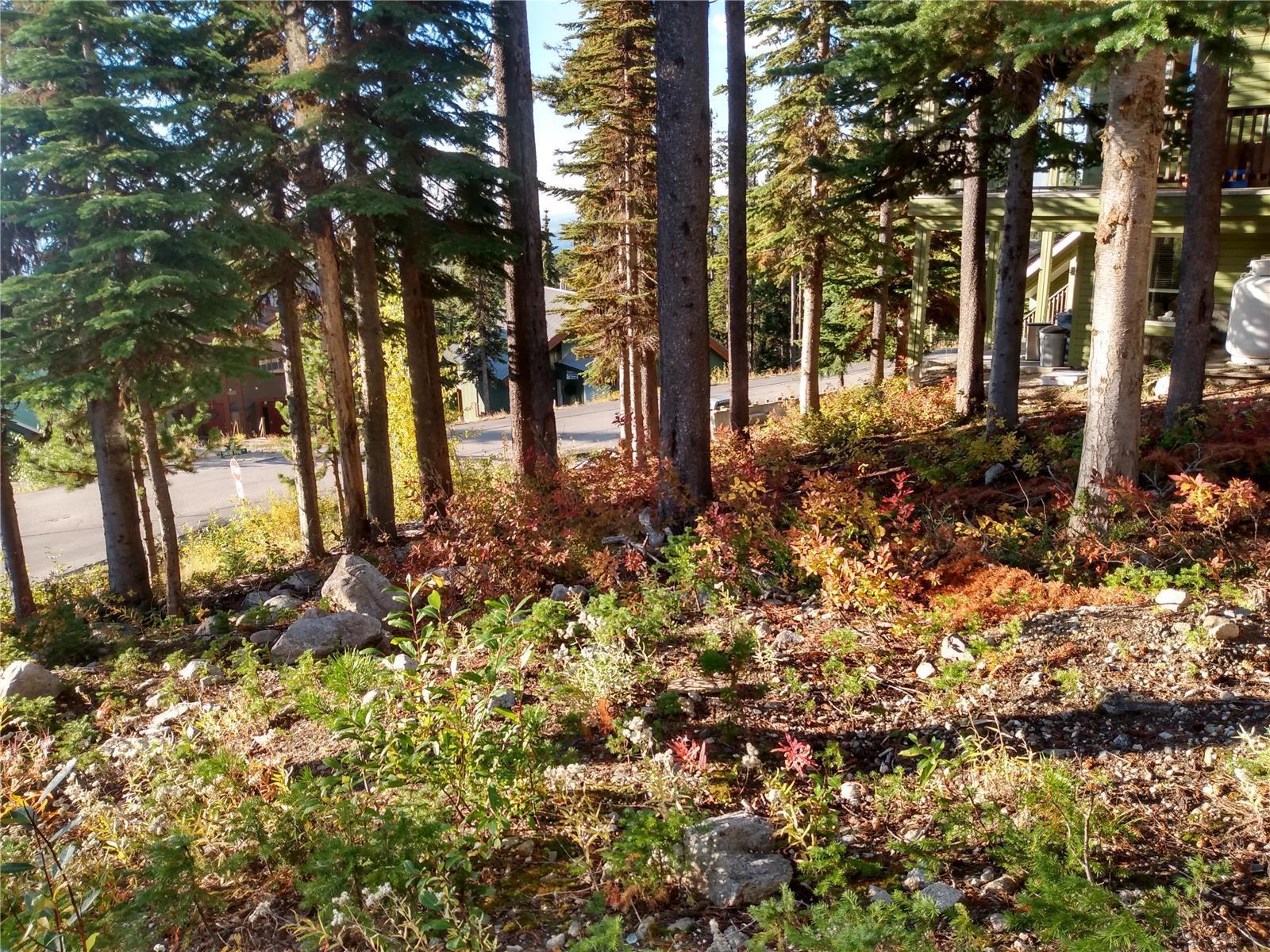 Listing 10271175 - Large Photo # 26