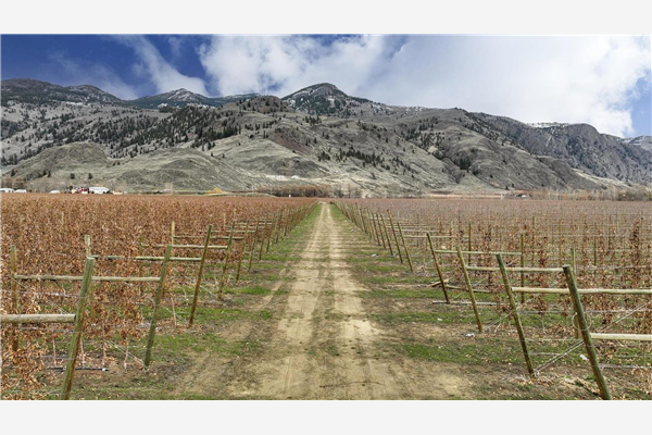 951 Keremeos Bypass Road,, Keremeos
